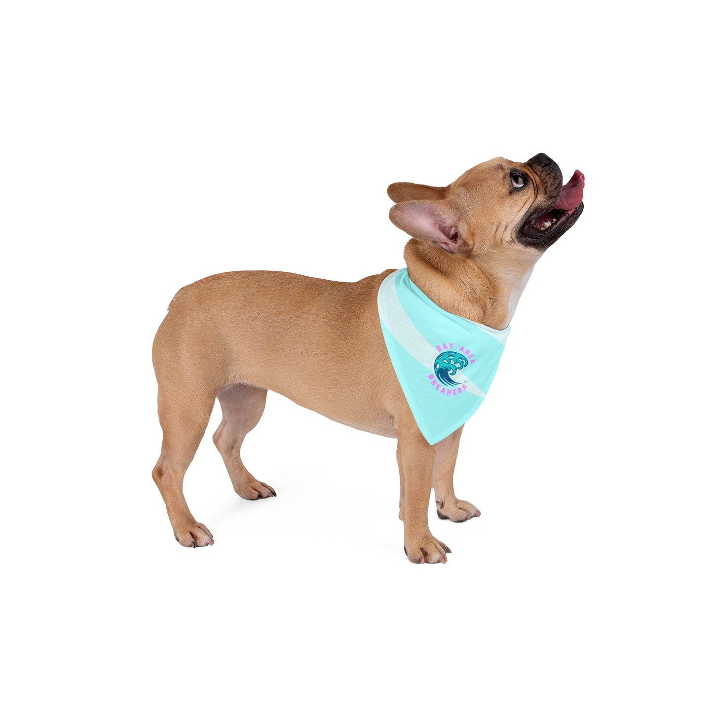 Bay Area Breakers™ 2025 Turquoise Pet Bandana