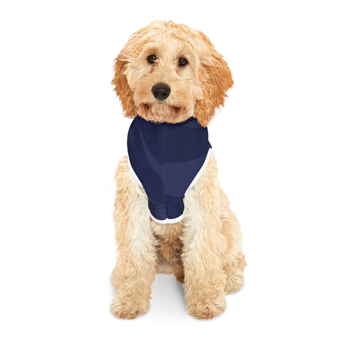 Bay Area Breakers 2020 Eclipse Blue Pet Hoodie
